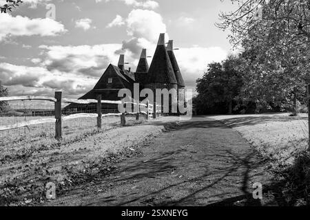 Traditionnel Hopp séchage Oast maisons sur une ferme dans le Kent Angleterre Royaume-Uni Banque D'Images