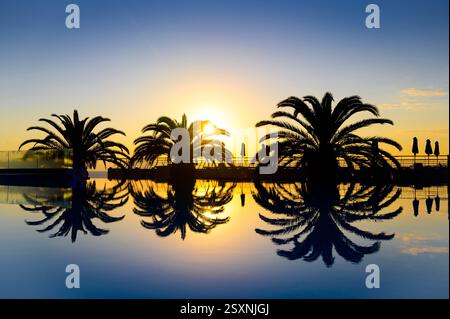 Piscine à débordement avec un beau coucher de soleil et des palmiers. Banque D'Images