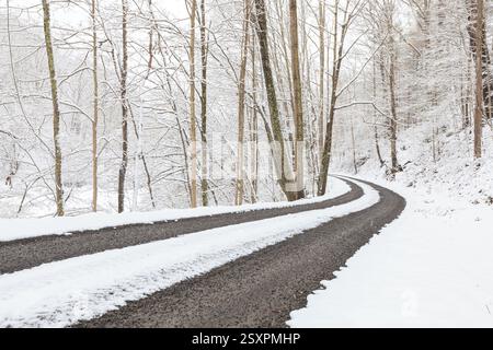 Route d'hiver courbant dans les bois Banque D'Images