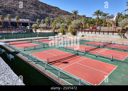 Palm Springs, Californie, États-Unis. 24 février 2025. Un ensemble de terrains de pickleball rouges et verts vibrants à Palm Springs, en Californie, encadrés par des palmiers et les montagnes désertiques accidentées en arrière-plan. Les courts sont vides sous le soleil de midi, avec des bancs soigneusement placés le long des bords. À gauche, le **Palm Springs Art Museum** se dresse avec son architecture moderne, ajoutant un contraste culturel à l'espace de loisirs actif. Au loin, l'emblématique statue de Marilyn Monroe ''Forever Marilyn'' surplombe la scène, renforçant l'atmosphère incomparable de Palm Springs. Les tribunaux font partie d'un Banque D'Images