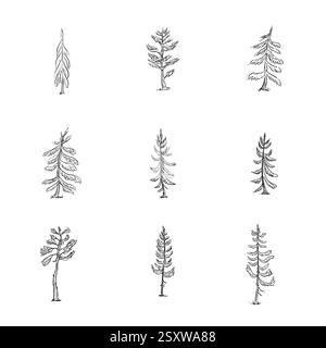 Esquisser l'ensemble d'épicéa et de pins, exécuté dans les deux colections de la Forêt Noire et de la Forêt Blanche Illustration de Vecteur