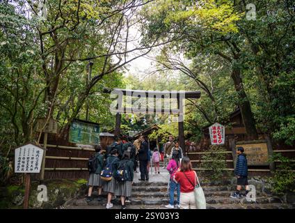 Touristes à la forêt de bambous de renommée mondiale au parc Arashiyama dans le district de Sagano, Kyoto, Japon. Banque D'Images