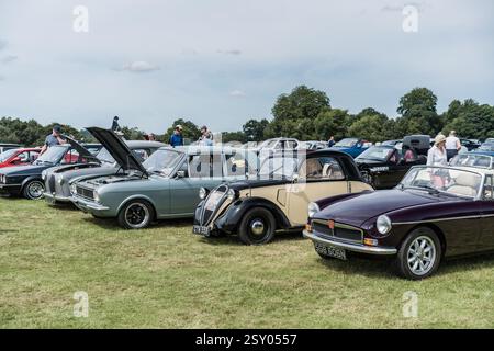 Tarporley, Cheshire, Angleterre, 28 juillet 2024. Une rangée de voitures est affichée lors d'une rencontre de voitures classiques. Banque D'Images