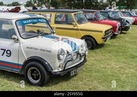 Tarporley, Cheshire, Angleterre, 28 juillet 2024. Une rangée de Minis est affichée lors d'une rencontre de voitures classiques. Banque D'Images
