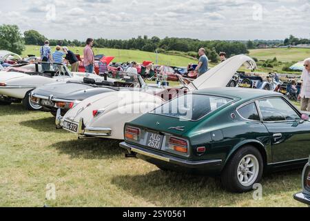 Tarporley, Cheshire, Angleterre, 28 juillet 2024. Une rangée de voitures est affichée lors d'une rencontre de voitures classiques. Banque D'Images