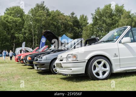 Tarporley, Cheshire, Angleterre, 28 juillet 2024. Une rangée de Ford Escorts est affichée lors d'une rencontre de voitures classiques. Banque D'Images