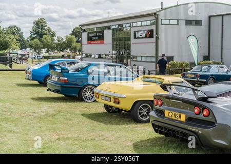 Tarporley, Cheshire, Angleterre, 28 juillet 2024. Une rangée de voitures est affichée lors d'une rencontre de voitures classiques. Banque D'Images
