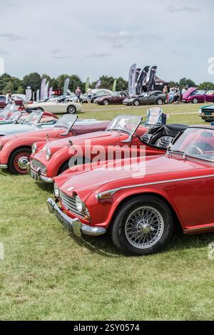Tarporley, Cheshire, Angleterre, 28 juillet 2024. Une rangée de voitures Triumph sont exposées lors d'une rencontre de voitures classiques. Banque D'Images