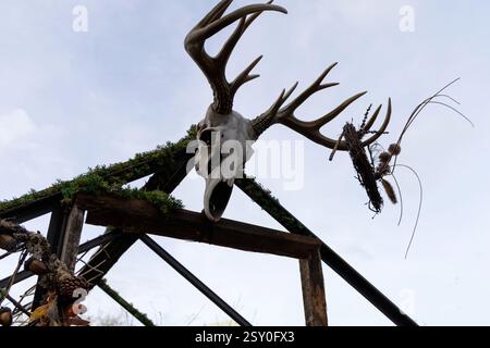 Squelette de cerf avec bois sur le toit de la maison. Photo de haute qualité Banque D'Images