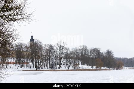 Scène hivernale sereine avec arbres enneigés le long d'une rivière gelée avec un bâtiment historique. Le château de Nesvizh est en arrière-plan Banque D'Images
