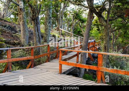 Sentier de promenade dans le parc national de la Terre de feu près d'Ushuaia dans le point le plus méridional de l'Argentine, Amérique du Sud Banque D'Images