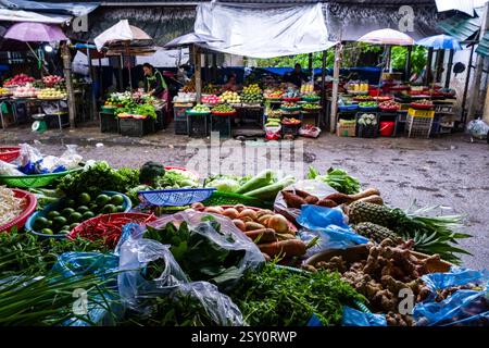 Par temps pluvieux, toutes sortes de fruits et légumes sont en vente dans l'un des nombreux marchés de rue du centre de Hué. Banque D'Images
