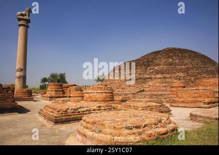 Stupa de brique et pilier de lion, Kolhua Vaishali, Bihar, Inde 7-novembre-2009 Banque D'Images