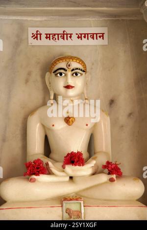 Statue en marbre de Mahavir dieu Inde Banque D'Images