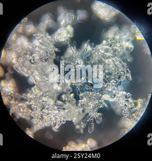 Vue sur flocon de neige sous microscope oculaire Banque D'Images