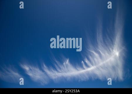 Une superbe capture de délicats nuages cirrus s'étendant sur un ciel bleu profond. Ces nuages de haute altitude créent une formation ressemblant à des plumes. Banque D'Images
