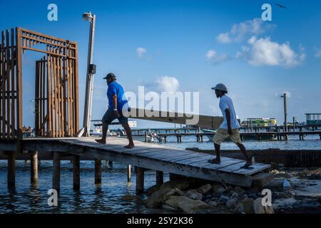 Deux hommes portant une grande planche de bois sur un quai à Caye Caulker Banque D'Images