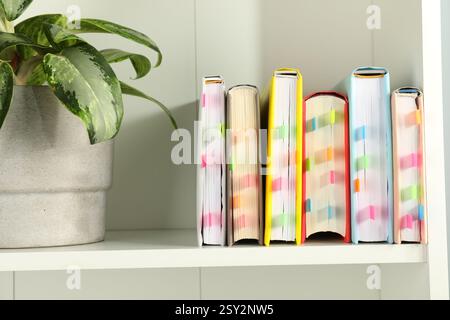 Livres avec onglets colorés et plante d'intérieur sur étagère blanche à l'intérieur Banque D'Images