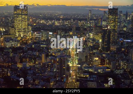 Vue aérienne de Tokyo, Japon Banque D'Images