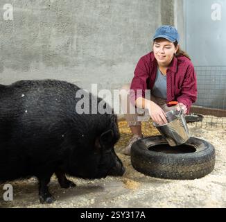Agricultrice nourrissant le porc ibérique noir dans les enclos à la ferme d'élevage Banque D'Images