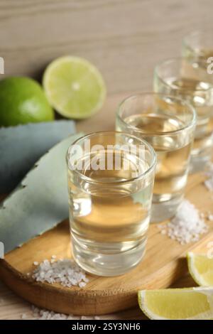 Coups de tequila avec du sel, des citrons verts et des feuilles d'agave sur la table, gros plan Banque D'Images