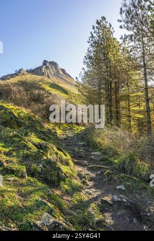 Sentier de randonnée pittoresque montant à travers une végétation luxuriante et des pins vers l'imposant sommet du mont txindoki dans le pays basque, espagne, sur un cl Banque D'Images