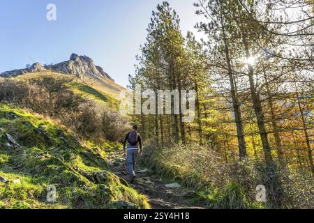 Randonneur solitaire montant sentier de montagne rocheuse à travers la forêt de pins sur le mont txindoki, gipuzkoa. Un pic spectaculaire s'élève contre le ciel bleu tandis que la lumière du soleil filtre Banque D'Images