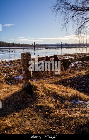 La résilience de la nature et les vestiges humains – là où les castors façonnent la terre, où la rivière sculpte son chemin et où le temps laisse sa marque sur le rivage Banque D'Images