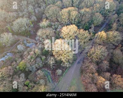vue aérienne de la ruisselle commune sur le bord des puits tunbridge dans le kent Banque D'Images