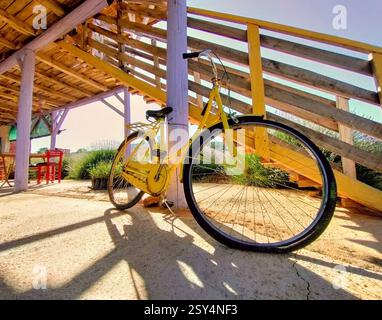 Vélo jaune vintage dans le jardin de lavande. Banque D'Images
