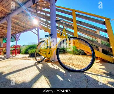 Vélo jaune vintage dans le jardin de lavande. Banque D'Images