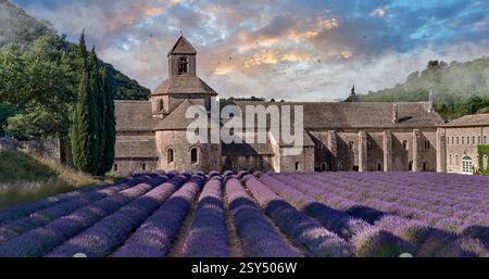 L'abbaye romane cistercienne de notre Dame de Sénanque du XIIe siècle ( 1148 ) située parmi les champs de lavande fleuris de Provence, Gordes, France Banque D'Images
