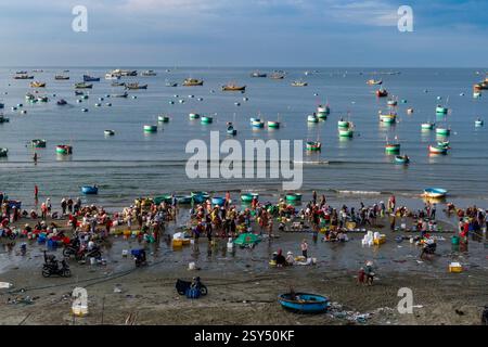 Vue aérienne des personnes travaillant sur la plage de Mui ne, Mũi né, de nombreux bateaux de pêche au loin. Banque D'Images