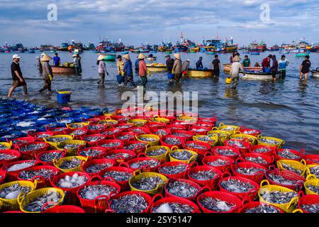 Les personnes travaillant sur la plage de Mui ne, Mũi né, les poissons fraîchement pêchés sont placés dans des paniers en plastique, de nombreux bateaux de pêche au loin. Banque D'Images