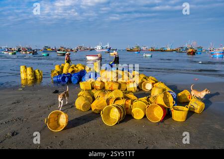 Des femmes aux chapeaux coniques trient des paniers en plastique pour les poissons fraîchement pêchés sur la plage de Mui ne, Mũi né, de nombreux bateaux de pêche au loin. Banque D'Images