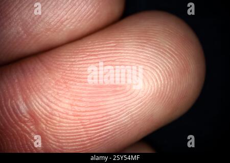 Gros plan de la texture de l'empreinte digitale. Photographie ultra macro Banque D'Images