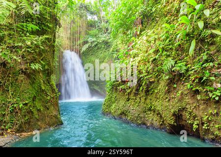 Vue imprenable sur la cascade pittoresque parmi la forêt tropicale à Bali Banque D'Images