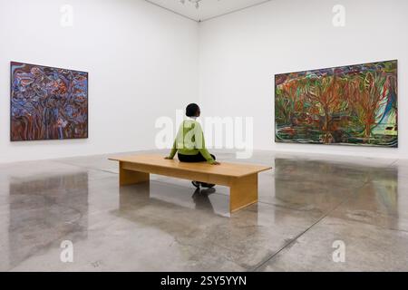 Masons Yard, Londres, Royaume-Uni. 27 février 2025. Photocal : Alia Ahmad au White Cube Mason's Yard. Credit : Matthew Chattle/Alamy Live News Banque D'Images