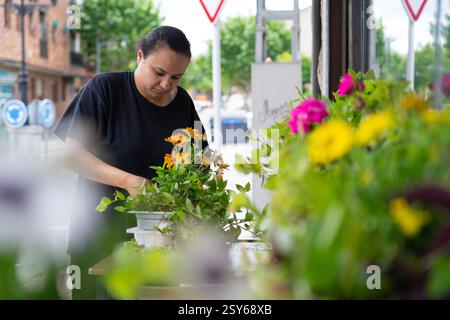 Fleuriste arrangeant des fleurs dans des pots à sa boutique, jardinage et concept de petite entreprise Banque D'Images
