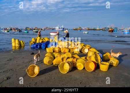 Des femmes avec des chapeaux coniques trient des paniers en plastique pour les poissons fraîchement pêchés sur la plage de Mui ne, MÅ i NÃ , de nombreux bateaux de pêche au loin. Mui ne Banque D'Images