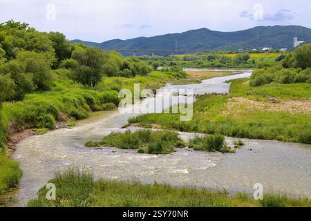 Sejong City, Corée du Sud - 27 mai 2021 : un ruisseau sinueux coule à travers une végétation luxuriante avant de fusionner dans la rivière Geum, avec des montagnes lointaines et un Banque D'Images