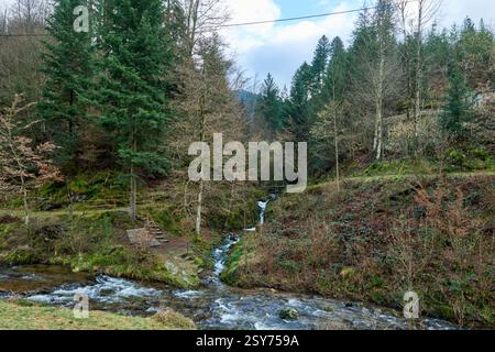 Scène forestière atmosphérique avec ruisseau de montagne précipité avec des cascades d'eau vive coulant sur des roches couvertes de mousse. Escalier en bois avec rail de sécurité Banque D'Images