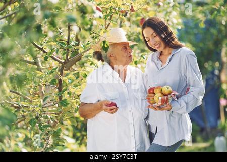 Tenir des pommes fraîches. La jeune femme est avec sa mère aînée est dans le jardin. Banque D'Images