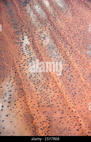 Paysage aérien avec une végétation clairsemée sur et entre les dunes de sable rouge dans le désert du Kalahari, photographié depuis un planeur dans une lumière brillante de fin de printemps près de K. Banque D'Images