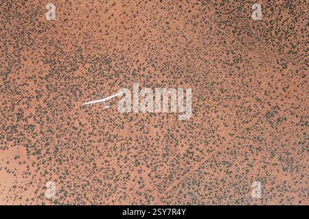 Paysage aérien avec planeur en vol au-dessus du sable rouge et des arbustes dans le désert du Kalahari, tourné à partir d'un autre avion de planeur dans la lumière brillante de fin de printemps près Banque D'Images
