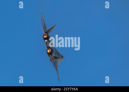 Sukhoi Su-57 « Felon » Banque D'Images