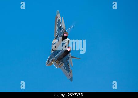 Sukhoi Su-57 « Felon » Banque D'Images