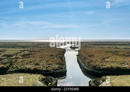 Die Ostfriesische Nordseeinsel Juist im Winter, Marschwiesen im Westen der Insel, Ruhezone im Nationalpark, zur Wattenmeer Seite Hin, Niedersachsen, Deutschland Juist Winter *** L'île de Juist en Frise orientale de la mer du Nord en hiver, prairies marécageuses à l'ouest de l'île, zone tranquille dans le parc national, face à la mer des Wadden, basse-Saxe, Allemagne Juist hiver Banque D'Images
