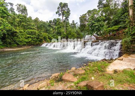 Tinuy-an Falls à Bislig, Surigao del sur, Mindanao, Philippines, présente des niveaux d'eau en cascade entourés d'une forêt tropicale luxuriante Banque D'Images