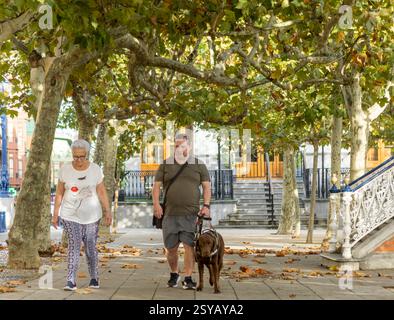Un aveugle avec un chien-guide et une femme âgée se promènent sous les arbres vibrants dans un parc urbain. Le cadre est serein, avec des feuilles dispersées et orné a Banque D'Images